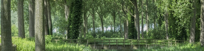 Rondje Damme-Sluis