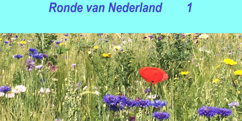 Ronde van Nederland 1 -  van Arnhem naar Gennep