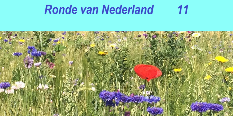 Ronde van Nederland 11 - van Noordwijk naar Egmond