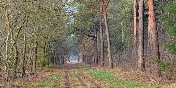 Stegeren (bij Ommen) gele route vanaf Restaurant de Bootsman. | Overijssel Stegeren (bij Ommen) gele route vanaf Restaurant de Bootsman. | Overijssel