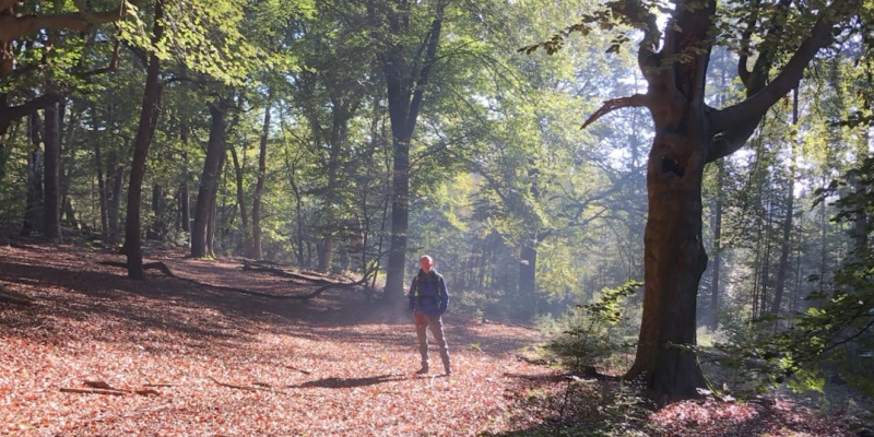 Heuvelachtig Beek-Ubbergen