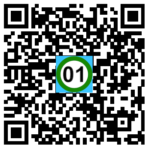 Scan de code
