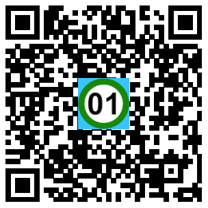 Scan de code
