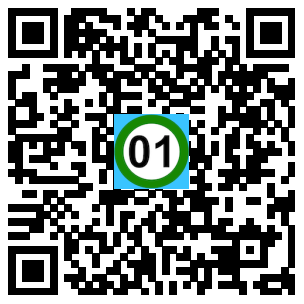 Scan de code