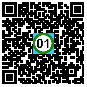 Scan de code