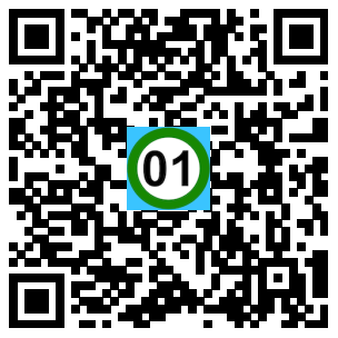 Scan de code