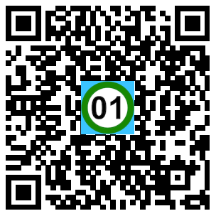 Scan de code