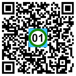 Scan de code