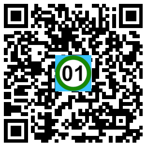 Scan de code