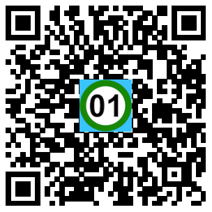 Scan de code