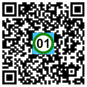 Scan de code