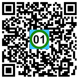 Scan de code