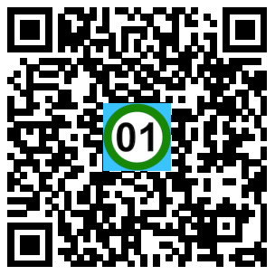 Scan de code