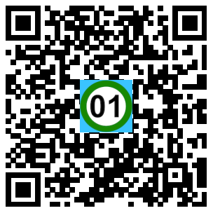 Scan de code