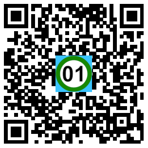 Scan de code