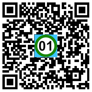 Scan de code