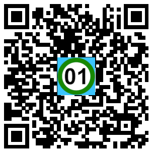 Scan de code