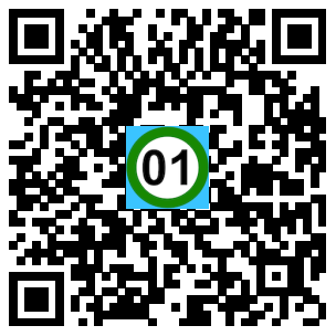 Scan de code