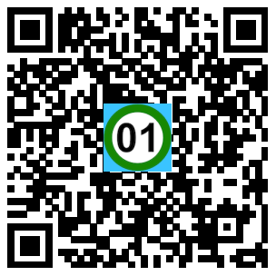 Scan de code
