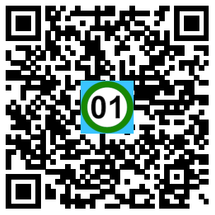 Scan de code