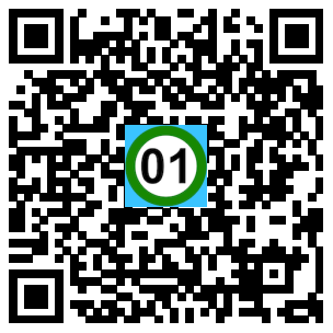 Scan de code