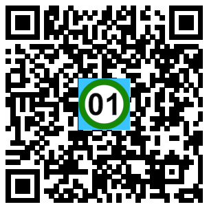 Scan de code