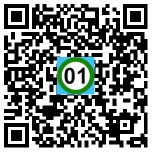 Scan de code
