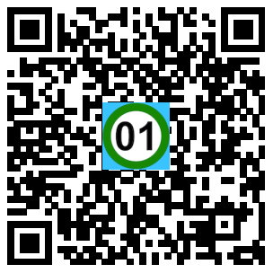 Scan de code