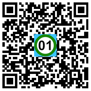 Scan de code