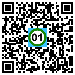 Scan de code