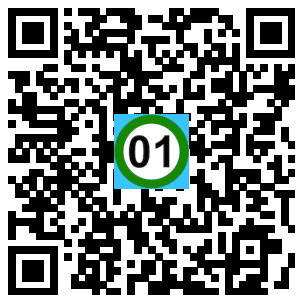 Scan de code