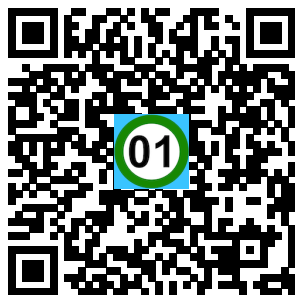 Scan de code