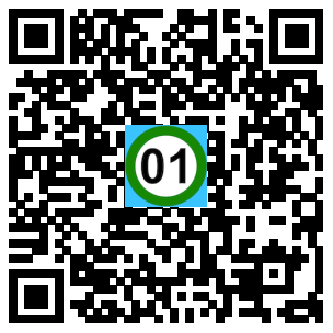 Scan de code