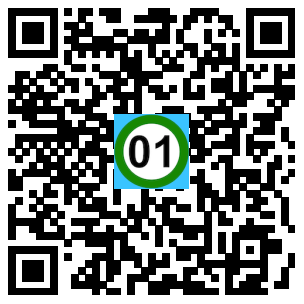 Scan de code