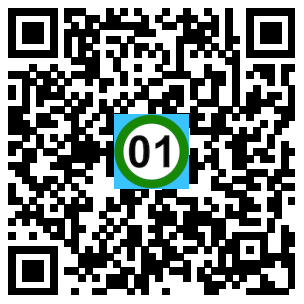 Scan de code