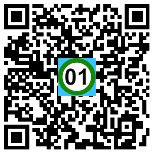 Scan de code