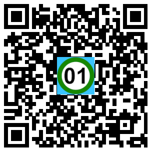 Scan de code