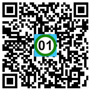 Scan de code