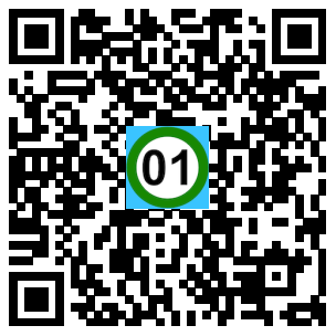 Scan de code
