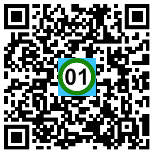 Scan de code