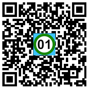 Scan de code