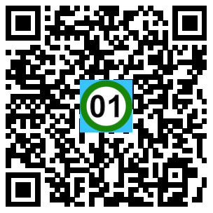 Scan de code