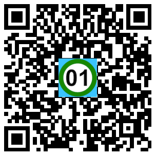 Scan de code