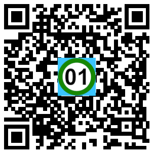 Scan de code