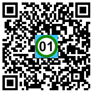 Scan de code