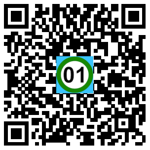Scan de code