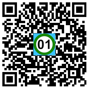 Scan de code