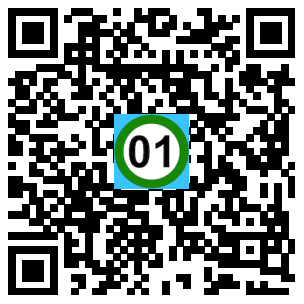 Scan de code