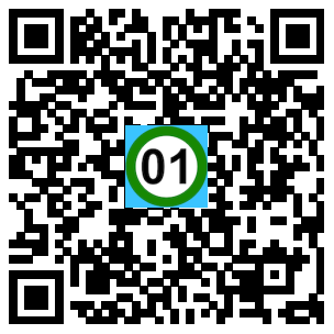 Scan de code