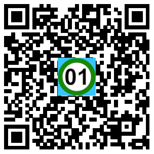 Scan de code